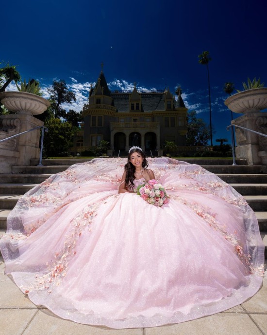 Sweetheart Neckline Ball Gown Three-Dimensional Embroidered Pink Quinceanera Dresses