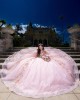 Sweetheart Neckline Ball Gown Three-Dimensional Embroidered Pink Quinceanera Dresses