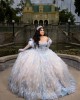 Sweetheart Neckline Long Sleeve Feather Ball Gown Sequin Nude Quinceanera Dress