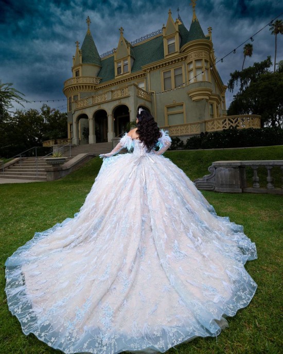 Sweetheart Neckline Long Sleeve Feather Ball Gown Sequin Nude Quinceanera Dress