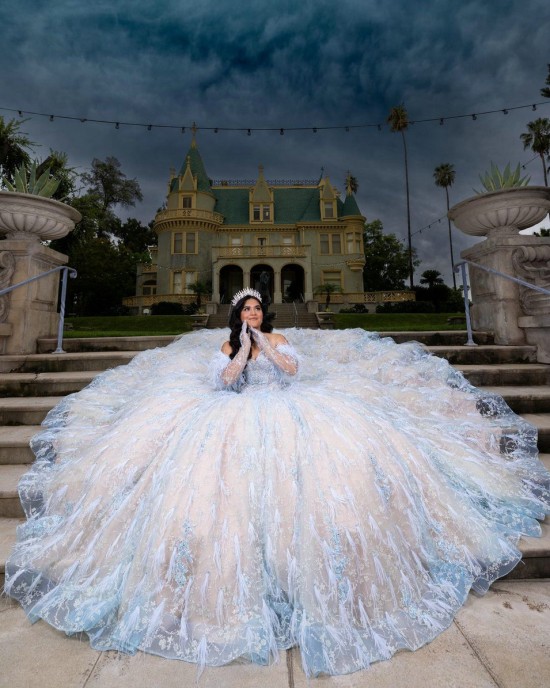 Sweetheart Neckline Long Sleeve Feather Ball Gown Sequin Nude Quinceanera Dress