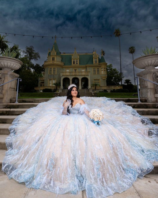 Sweetheart Neckline Long Sleeve Feather Ball Gown Sequin Nude Quinceanera Dress