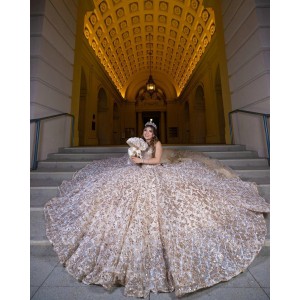 Sweetheart Neckline Sleeveless Ball Gown Sequin Champagne Quinceanera Dresses With Bow