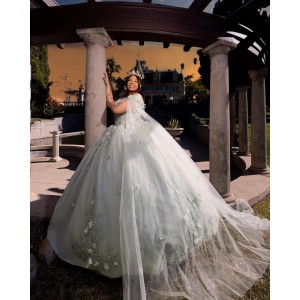 Cape Sleeve Ball Gown Lace Appliques Sweetheart Neckline Silverish Green Quinceanera Dresses