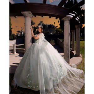 Cape Sleeve Ball Gown Lace Appliques Sweetheart Neckline Silverish Green Quinceanera Dresses