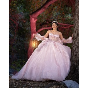 Lace Appliques Long Sleeve Ball Gown Sweetheart Neckline Sheer Bodice Pink Quinceanera Dresses