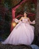 Lace Appliques Long Sleeve Ball Gown Sweetheart Neckline Sheer Bodice Pink Quinceanera Dresses