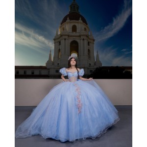 Lace Appliques Puff Sleeve Ball Gown Sweetheart Neckline Sheer Bodice Sky Blue Quinceanera Dresses