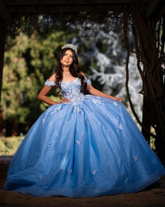 Off Shoulder Butterfly Ball Gown Sweetheart Neckline Blue Quinceanera Dresses