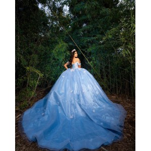 Off Shoulder Butterfly Ball Gown Sweetheart Neckline Blue Quinceanera Dresses