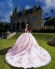 Sequin Off Shoulder Ball Gown Sweetheart Neckline Pink Quinceanera Dresses