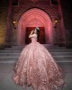 Sleeveless Ball Gown 3D Flowers Sweetheart Neckline Rose Gold Quinceanera Dresses