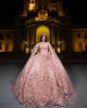 Sleeveless Ball Gown 3D Flowers Sweetheart Neckline Rose Gold Quinceanera Dresses