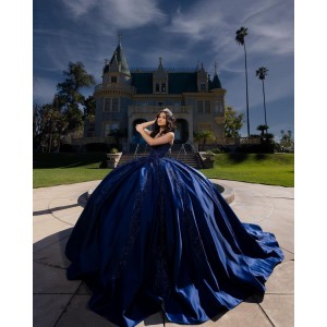 Sleeveless Ball Gown Sequin Sweetheart Neckline Navy Blue Quinceanera Dresses