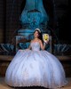 Strapless Sleeveless Ball Gown Sweetheart Neckline Sky Blue Quinceanera Dresses