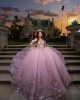 Three-Dimensional Embroidered Off Shoulder Ball Gown Sweetheart Neckline Pink Quinceanera Dresses