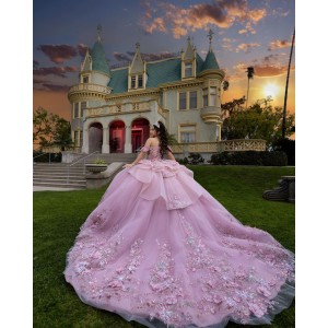 Three-Dimensional Embroidered Off Shoulder Ball Gown Sweetheart Neckline Pink Quinceanera Dresses