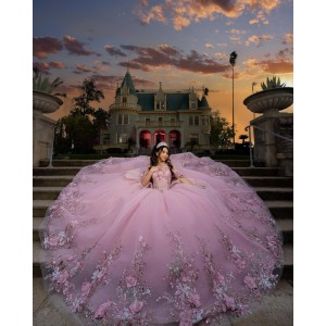 Three-Dimensional Embroidered Off Shoulder Ball Gown Sweetheart Neckline Pink Quinceanera Dresses