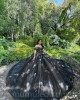 Black Quinceanera Dress Off Shoulder Vestidos De 15 Anos 3D Flowers Wear Pageant Sweetheart Neck Sweet 15 Prom Party Dresses