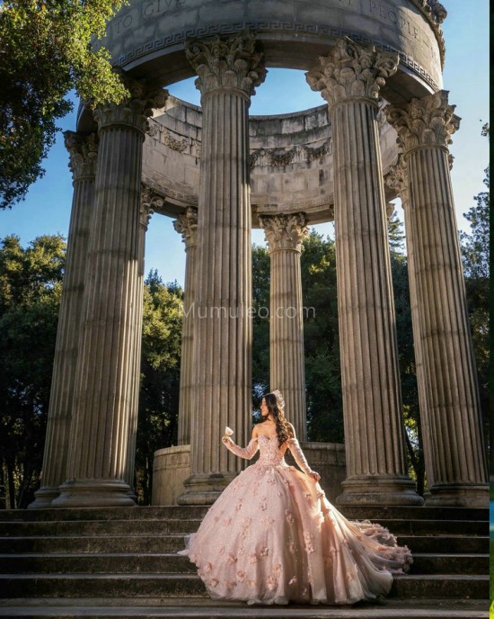 Long Sleeve Pink Quinceanera Dresses Sweetheart Neck 15 Dress With 3D Flower