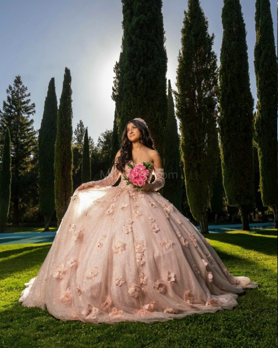 Long Sleeve Pink Quinceanera Dresses Sweetheart Neck 15 Dress With 3D Flower