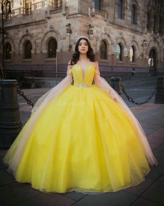 Long Sleeve Yellow Quince Dresses V Neck 15 Dress