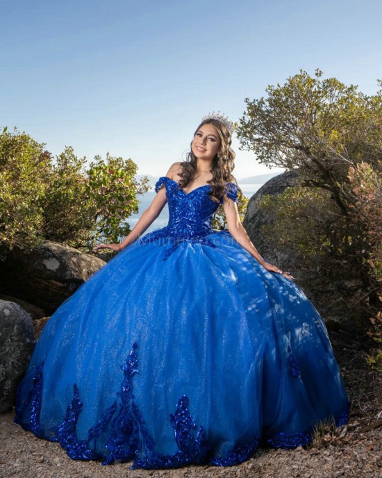 Off Shoulder Blue Quinceanera Dresses Lace Appliques V Neck 15 Dress