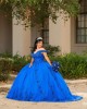 Off Shoulder Blue Quinceanera Dresses V Neck 15 Dress With 3D Flower