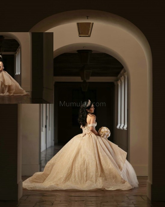 Off Shoulder Champagne Quinceanera Dresses Metallic Sequins Sweetheart Neck 15 Dress