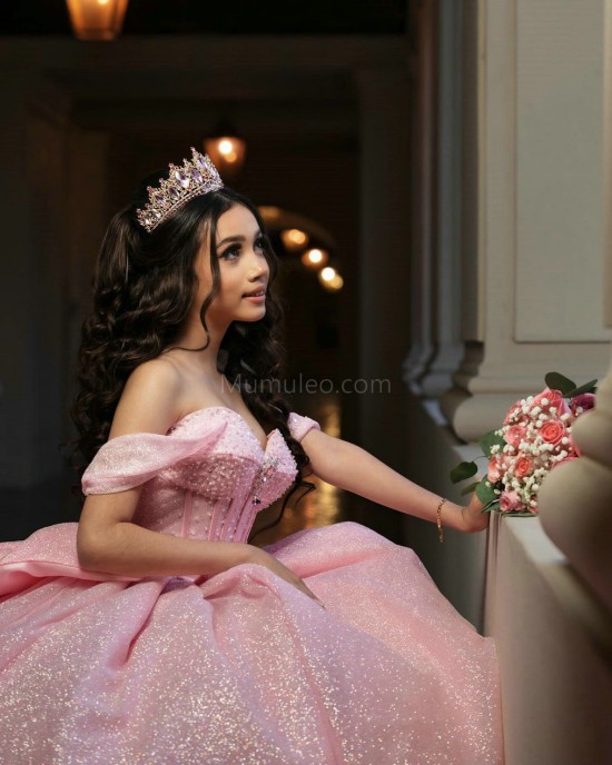 Off Shoulder Pink Quinceanera Dresses Sequin Sweetheart Neck 15 Dress