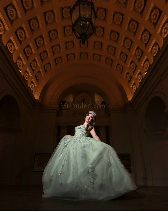 Off Shoulder Sage Green Quinceanera Dresses Sequin Sweetheart Neck 15 Dress With 3D Flowers