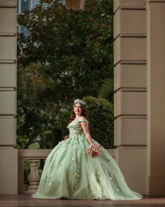 Off Shoulder Sage Green Quinceanera Dresses Sequin Sweetheart Neck 15 Dress With 3D Flowers