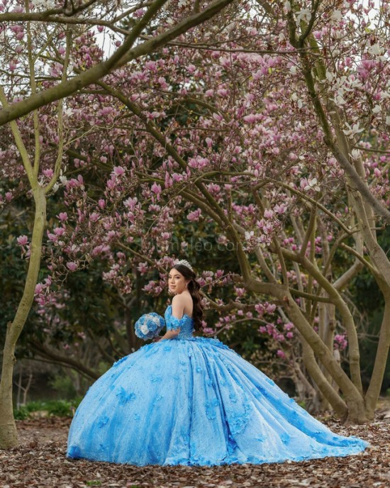 Off Shoulder Sky Blue Quinceanera Dresses Sequin Sweetheart Neck 15 Dress With 3D Flowers