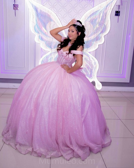 Pink Quinceanera Dress Off Shoulder Vestidos De 15 Anos Sequin Sweetheart Women Tulle 2024 Ball Gown