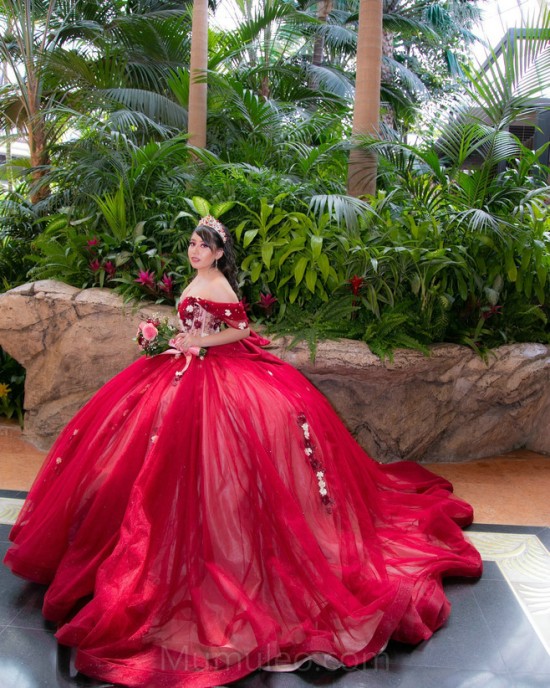 Red Quince Dress Wear Pageant Off Shoulder Vestidos De 15 Anos 3D Flowers Sweetheart 15 16 Years Old Birthday Party Gown