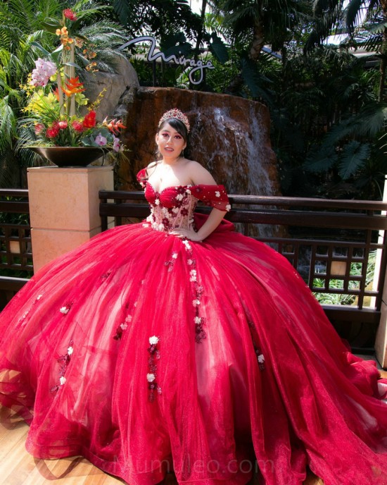 Red Quince Dress Wear Pageant Off Shoulder Vestidos De 15 Anos 3D Flowers Sweetheart 15 16 Years Old Birthday Party Gown