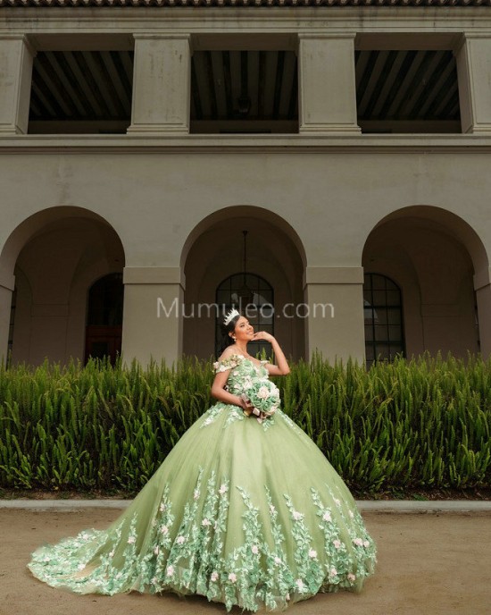 Sage Green Quince Dress 3D Flowers Girls Ball Gown Sweet 16 Dresses Off Shoulder Wear Pageant