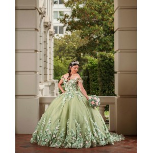 Sage Green Quince Dress 3D Flowers Girls Ball Gown Sweet 16 Dresses Off Shoulder Wear Pageant