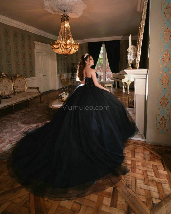 Sleeveless Black Quince Dresses V Neck 15 Dress