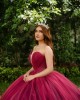 Sleeveless Burgundy Quince Dresses V Neck 15 Dress in instagram