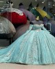 Glitter Tulle Floral Sage Green Quince Dress 2024 With Long Sleeves