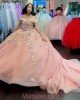 Pink Blush Quinceanera Dresses With Floral Appliques 15 dresses