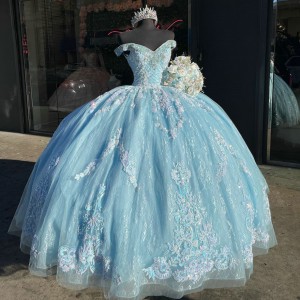 Floor Length Lace Light Sky Blue Quinceanera Dresses Customize