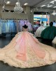 Floral Appliqued Multi Colors Quinceanera Dresses Champagne Pink