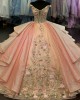 Floral Appliqued Multi Colors Quinceanera Dresses Champagne Pink