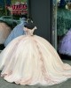 Off The Shoulder Glitter Organza Pink Dama Dresses for Quinceanera