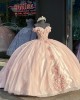 Off The Shoulder Glitter Organza Pink Dama Dresses for Quinceanera