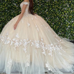 Off The Shoulder Lace Appliqued Classic Quinceanera Dress 15 Dresses Champagne