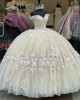 Off The Shoulder Lace Appliqued Classic Quinceanera Dress 15 Dresses Champagne