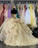 Strapless Metallic Lace Quinceanera Dama Dresses Champagne